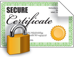 сертификат Comodo Intranet SSL